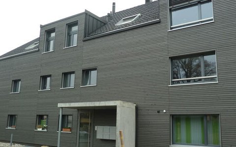 MFH Trimstein #6/12