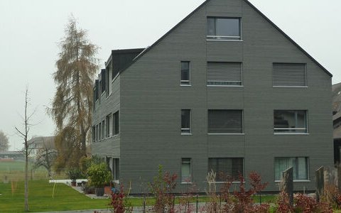 MFH Trimstein #12/12