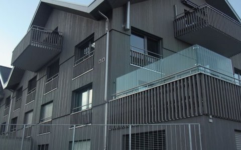 MFH Baumgarten Aeschi #8/8