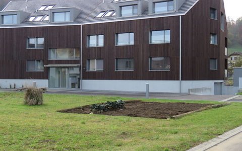 MFH 4417 Ziefen