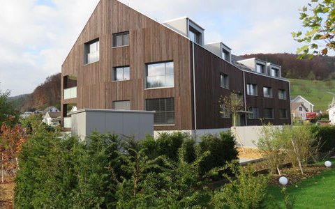 MFH 4417 Ziefen #2/4
