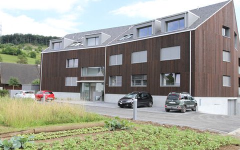 MFH, 4417 Ziefen #3/5