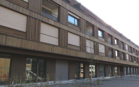 Lorymatte Münsingen #2/3